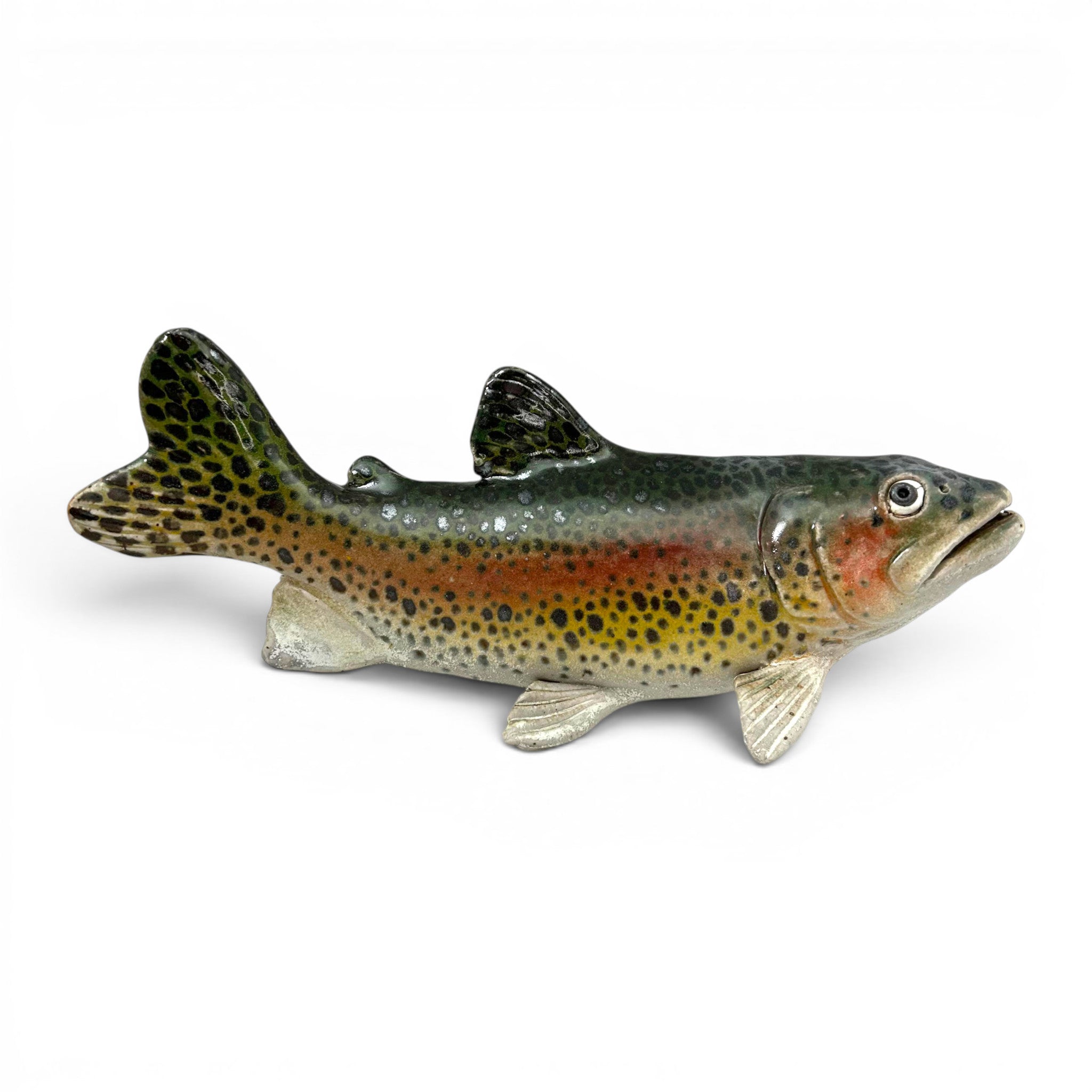 Rainbow Trout