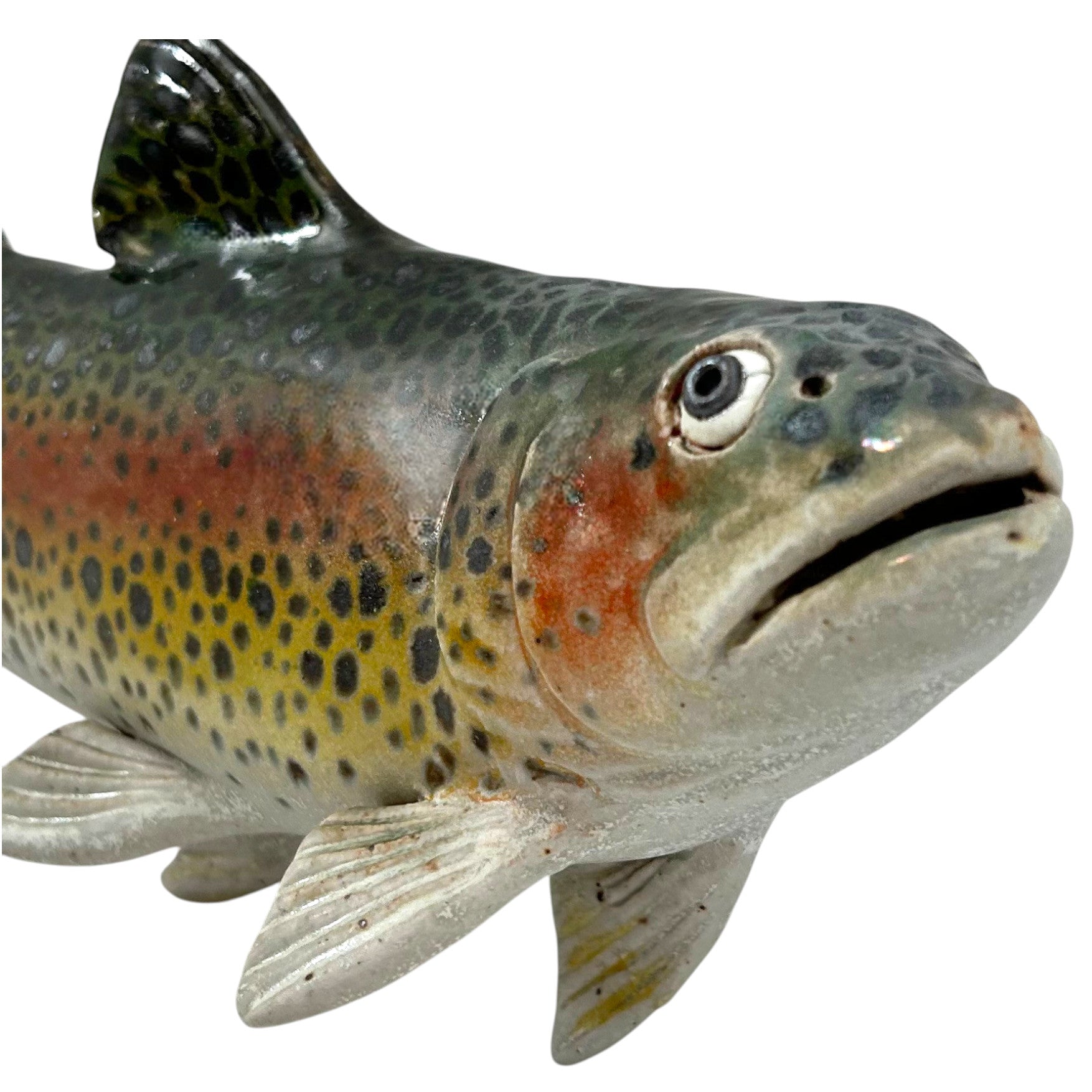 Rainbow Trout