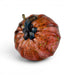 A decorative glass pumpkin with a mottled orange, red, and brown pattern, featuring a dark, glossy stem at the top, shown on a clean white background.