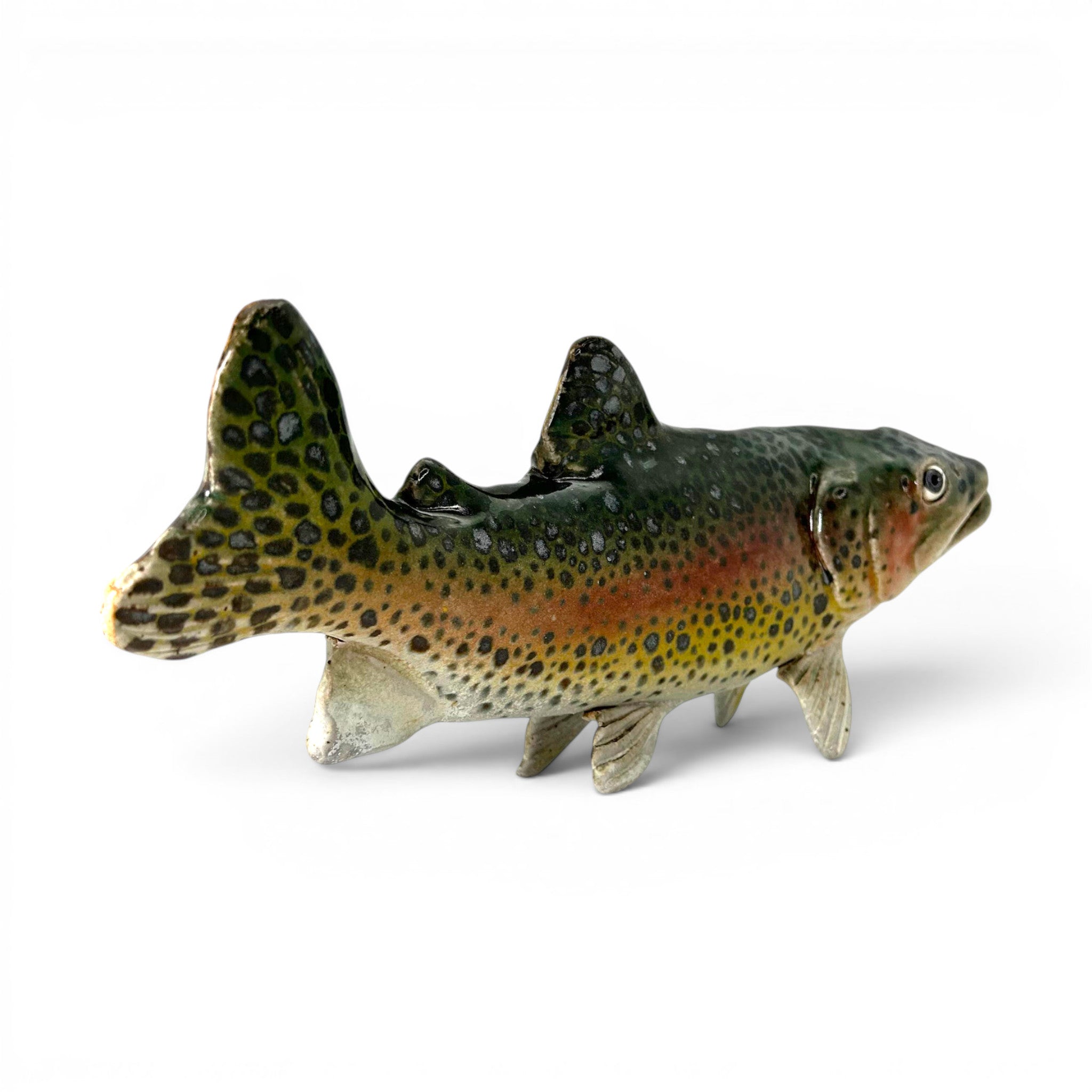 Rainbow Trout