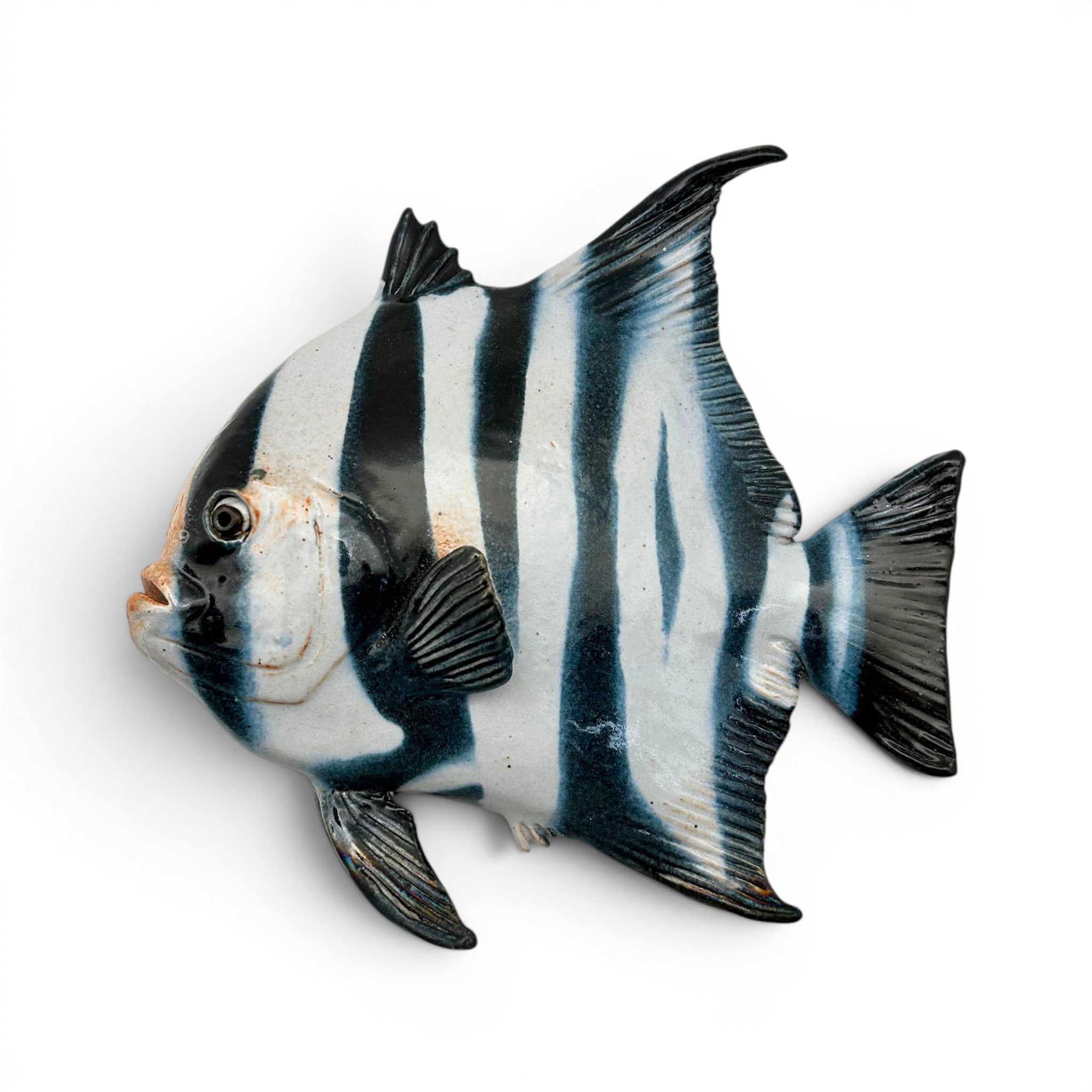 Spadefish