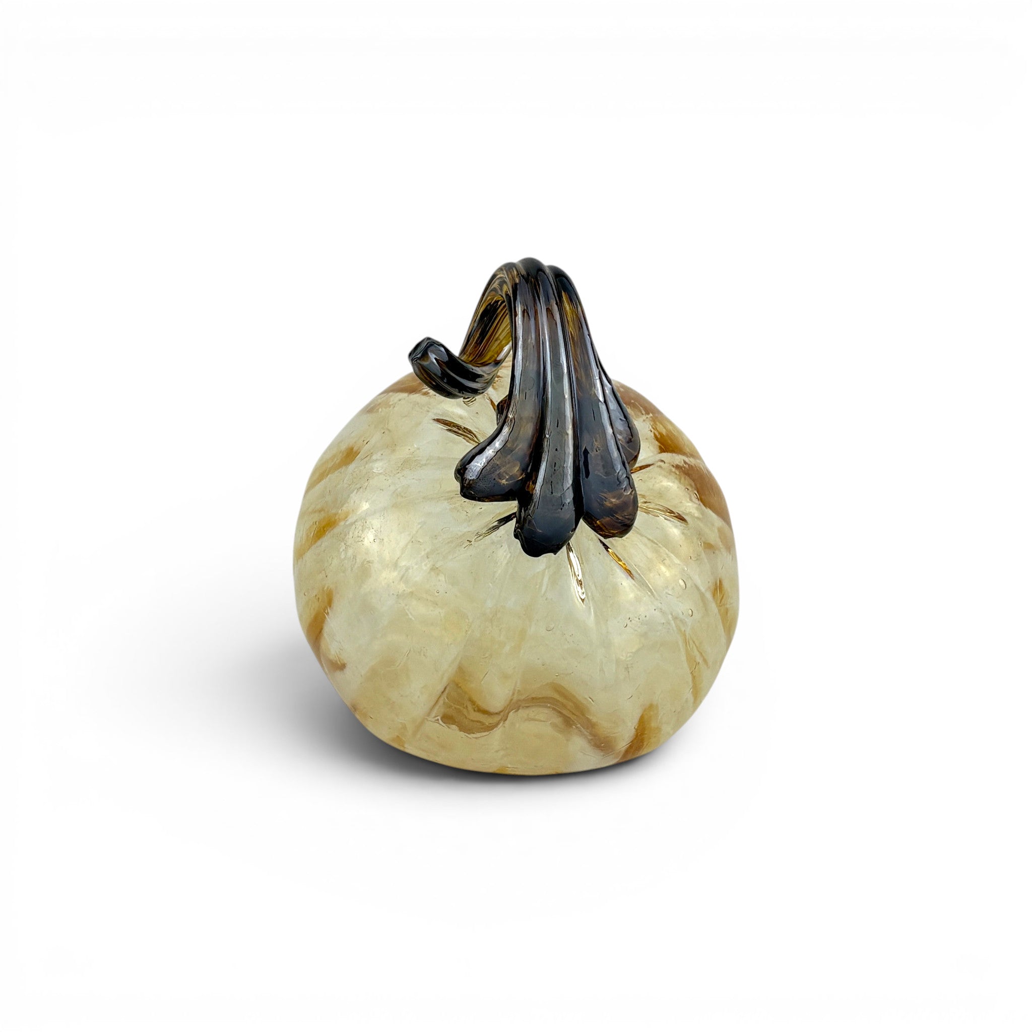 A small decorative pumpkin with a marbled cream and tan body and a dark brown to black stem.