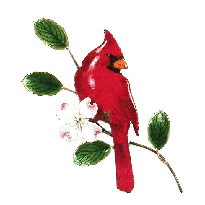 Male Cardinal on Dogwood