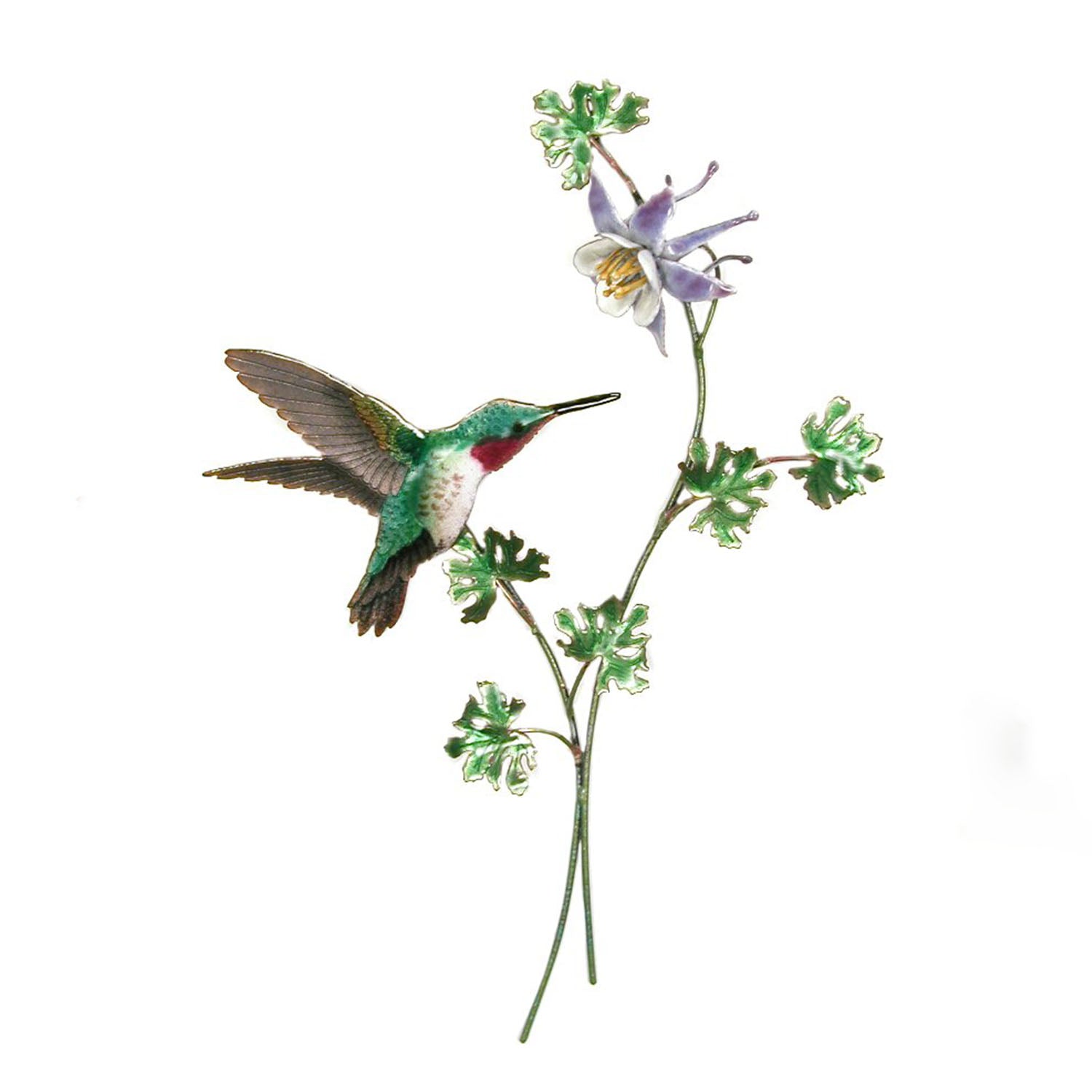 Broad Tailed Hummingbird with Columbine Flower