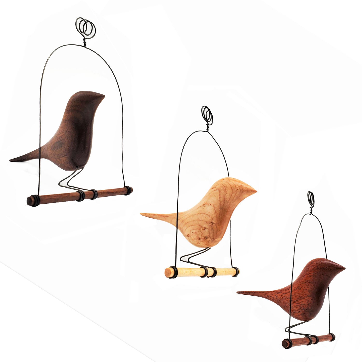 Bird on a Swing