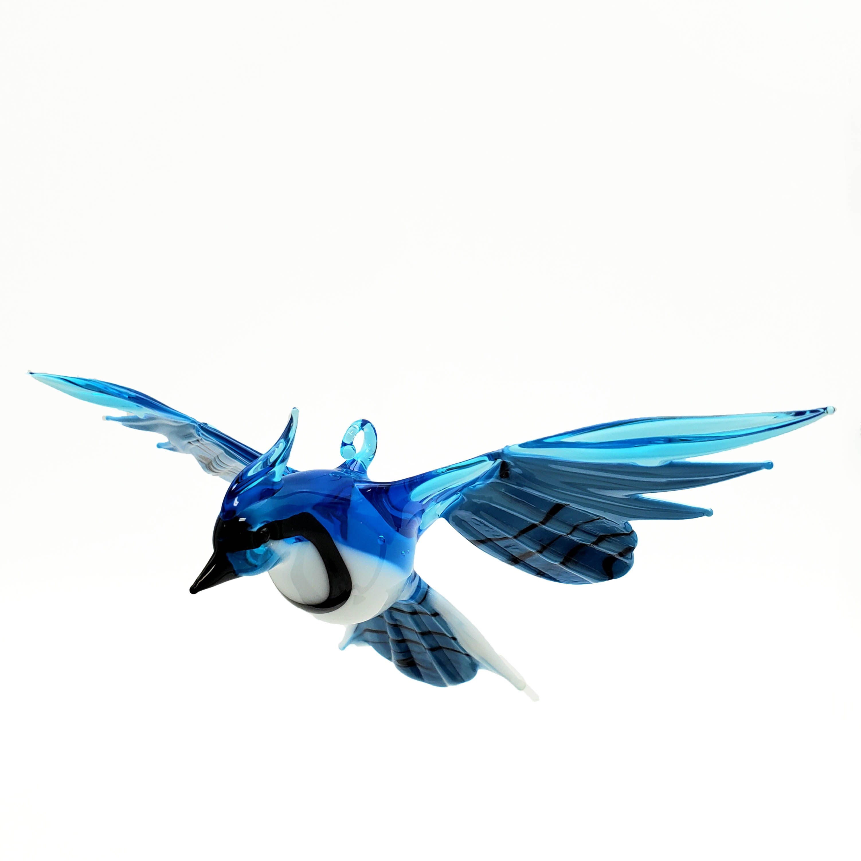 Blue Jay - Large